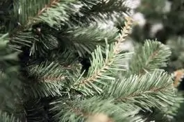 Novogodišnja jelka Aljaska 150 cm