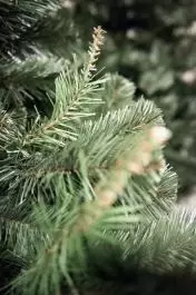 Novogodišnja jelka Aljaska 150 cm
