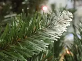 Zelena novogodišnja jelka sa belim vrhovima 250 cm