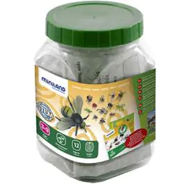 Dečija igra sortiraj insekte