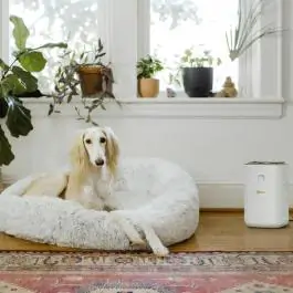 Karcher AF 20 Prečišćivač vazduha