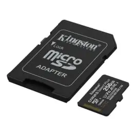 MikroSD mem.kart.256GB King.SelectPlus bez ad.CL10