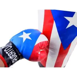 Bokserski džak sa rukavicama za decu USA 52cm Puerto Rico