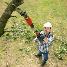 Bosch Aku makaze za baštu AdvPrune 18-45 solo, 06008C5002