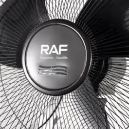 Raf R.920 PK stoni ventilator 2 u pakovanju