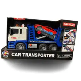 Šlep dizalica i auto CT081686