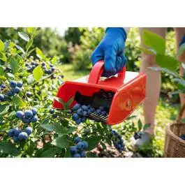 Strend Pro berač bobičastog voća 22 x 7,5 cm sa metalnim zupcima za borovnice, aroniju i ribizle